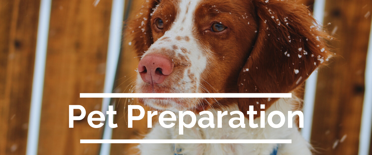 Winter Pet Preparation